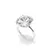 Anillo Halo