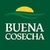Aceitunas Verdes en salmuera calidad Premium "Buena Cosecha" x 660 grs - comprar online