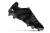 Adidas Predator Accelerator FG Eternal Class
