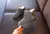 Botas de neve de algodão infantil, Sapatos quentes para crianças, Tênis casua
