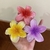 Piranha de flor - Tamanho G - comprar online