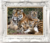 Quadros Decorativos Tigres