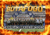 Botafogo Campeão Brasileiro 2024