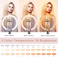 Aro De Luz Led 26 Cm Con Trípode 2.1 Metros 3luces - tienda online