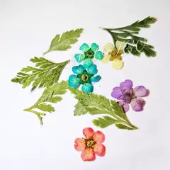 3d Flores Secas Pegatinas Decoración De Uñas Nail Arte Diy - comprar online