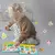 Livro Montessori com Atividades Educativas - loja online