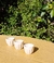 Vasito HOLANDA natural - comprar online