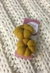 Par calabaza pequeñas en internet