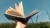 Agenda 2025 - comprar online