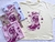 Remera oversize texanas
