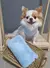 Suéter Pet de Fleece percal Pompom unisexx . na internet
