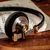 Auriculares con cable HIFI supraurales ROSESELSA Distant Mountain, vintage con conector MMCX de 3,5 mm en internet