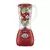 Liquidificador Easy Power, Mondial, Branco, 550W - L-550-W