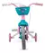 Bicicleta Infantil Infantil Nathor Charm Aro 12 - Azul