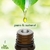 Kit Completo Lavanda Essência + Vela 100g + 6 Mini Velas + Wax Melts - Lar Fresh na internet