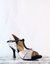Carmela C7 - comprar online