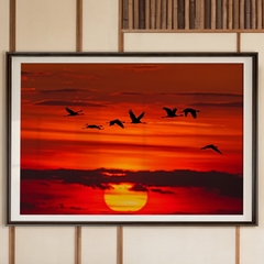 BIRDS IN RED - comprar online
