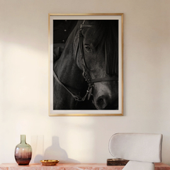 black horse - comprar online