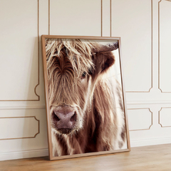 bull - comprar online