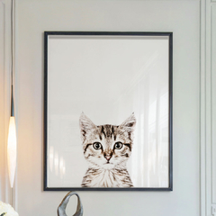 cat - comprar online