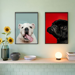 set de 2 cuadros dog - comprar online