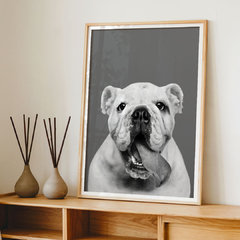 dog bw - comprar online