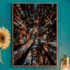 El Bosque y el Cielo - comprar online