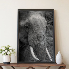 elefante - comprar online