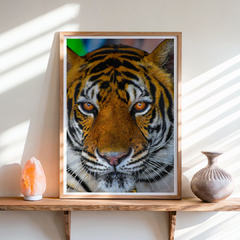 eyes tiger - comprar online