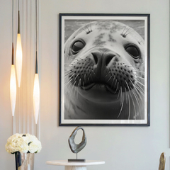 foca - comprar online