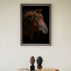 horse - comprar online