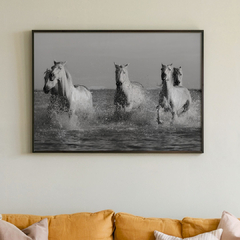 horses - comprar online
