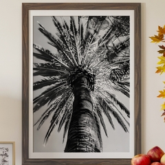 Minimal palmera - comprar online