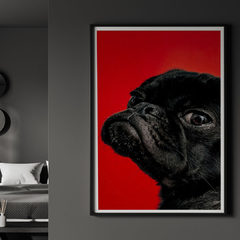 Negro con Estilo - comprar online