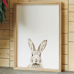 rabbit - comprar online