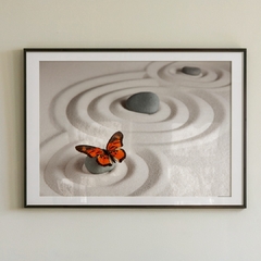 Stone Fly - comprar online