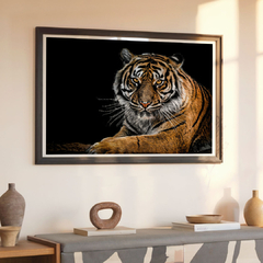 tiger - comprar online