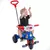 Triciclo Infantil Calesita Tate-tico Passeio - loja online