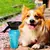 Garrafa de Água para Cães Portátil - comprar online