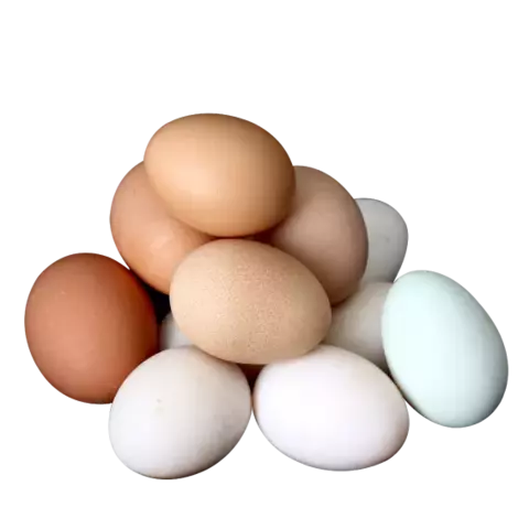 Huevos Criollos UND