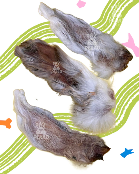 Orejas de Conejo