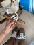 TÊNIS ADIDAS ANIMAL PRINT