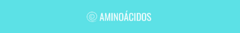 Banner da categoria Aminoacidos