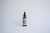 Extracto hidroalcoholico Reishi & Chaga x 50 cc
