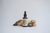 Extracto hidroalcoholico Reishi x 50 cc en internet