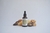 Extracto hidroalcoholico Ashwagandha x 50 cc en internet