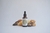 Extracto hidroalcoholico Reishi & Chaga x 50 cc - comprar online
