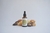Extracto doble hidroalcoholico Cordyceps x 50 cc en internet