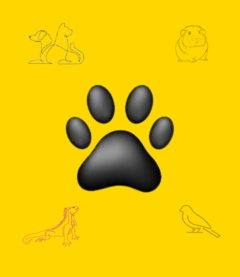 Banner da categoria PET