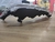 FAROL DIREITO TOYOTA YARIS 1.3 - 2019 - loja online